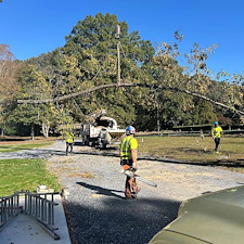 Tree-Removal-with-Crane-at-Woodlawn-Cemetery 4